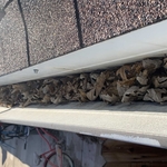 Gutter Cleaning Project
