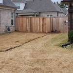 Landscaping Project