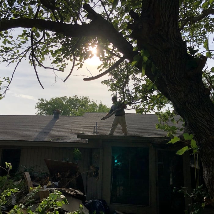 Additional Photos