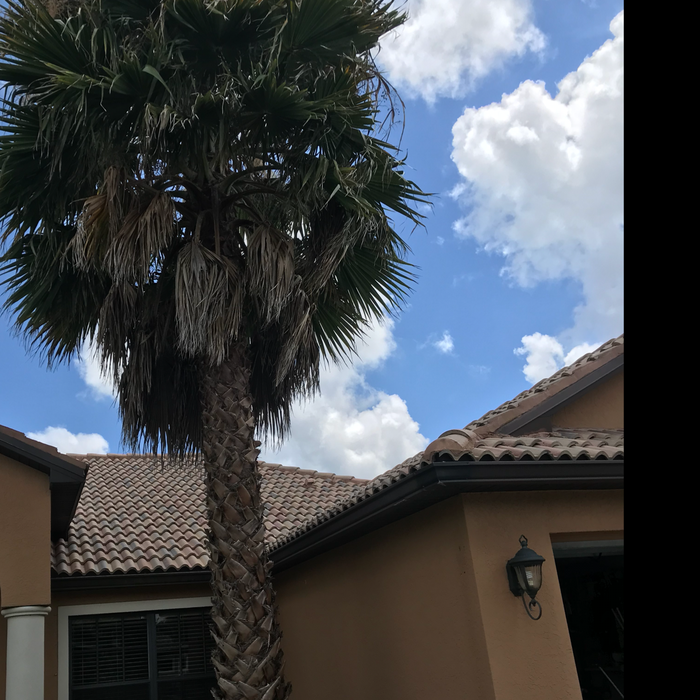Additional Photos