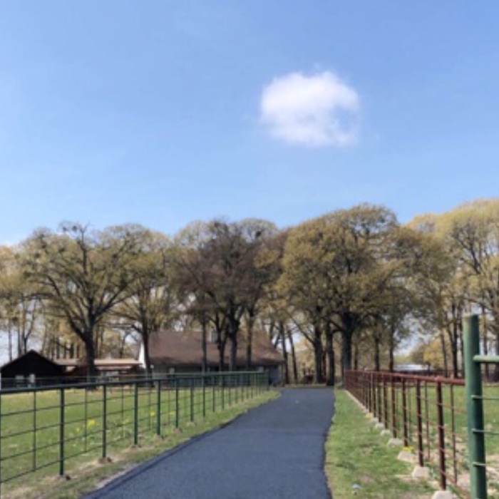 Additional Photos