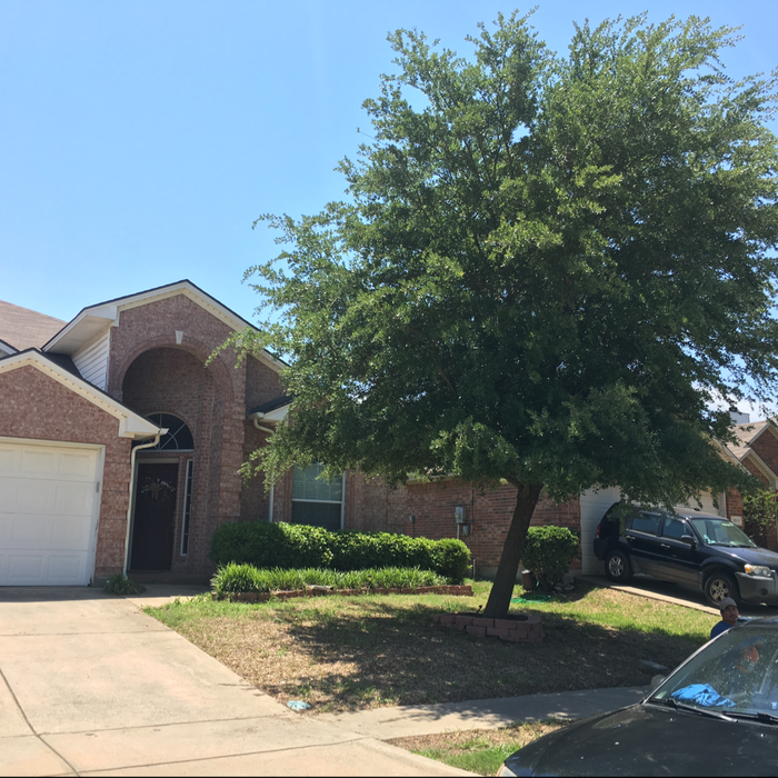 Additional Photos