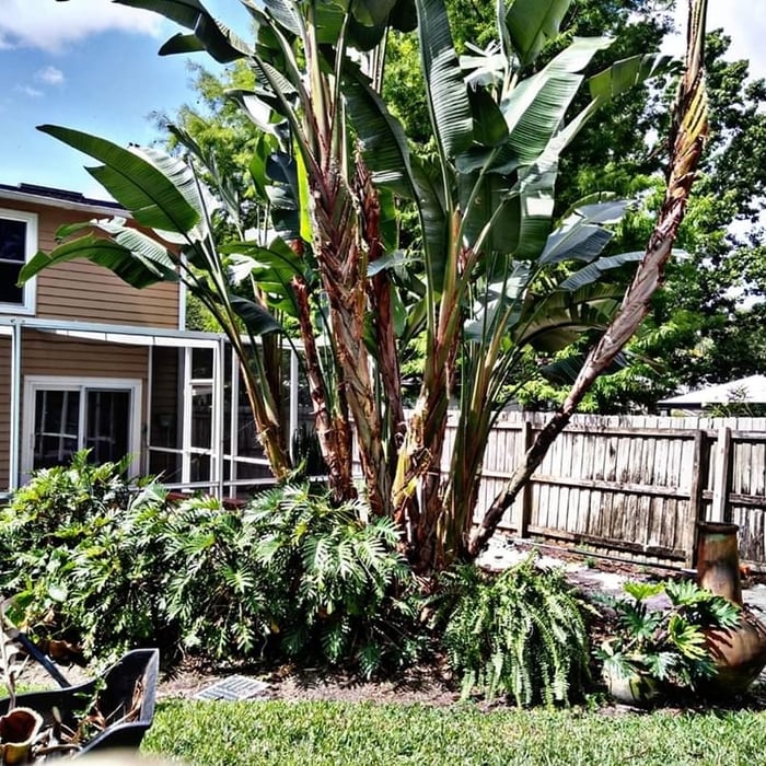 Additional Photos
