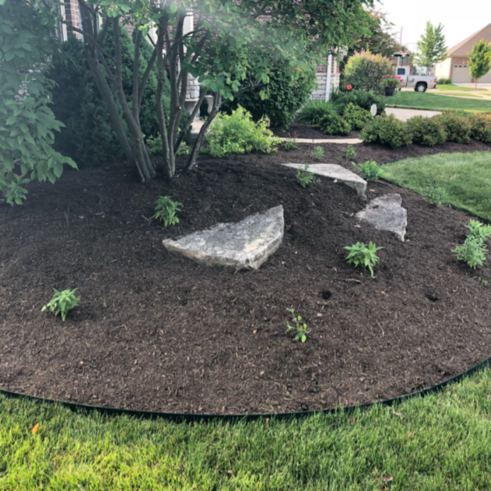 Additional Photos