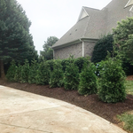 Additional Photos