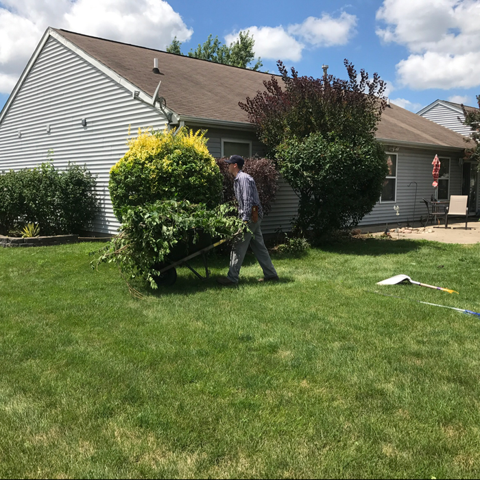Additional Photos