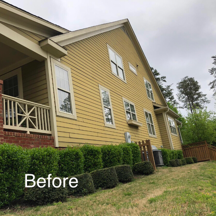 Additional Photos