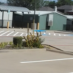 Treetop public schools eules