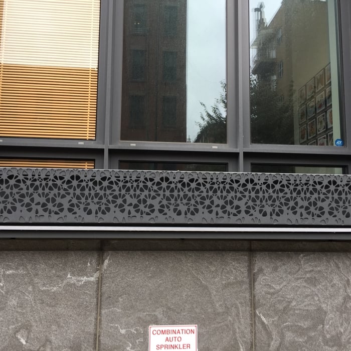 Boxwood in Window Box for Privacy in Brooklyn