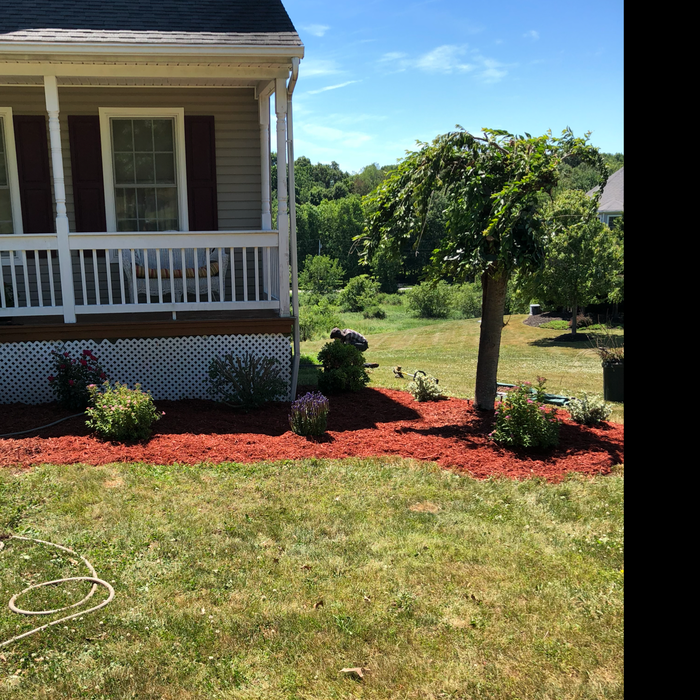 Additional Photos
