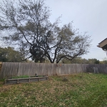 Tree Service Project