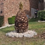 Tree Service Project