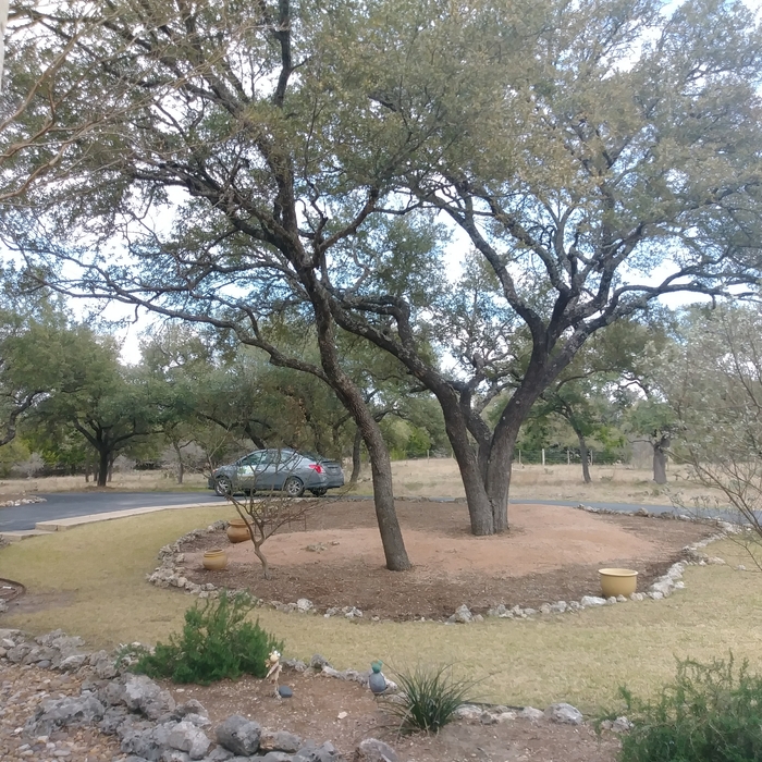 Additional Photos