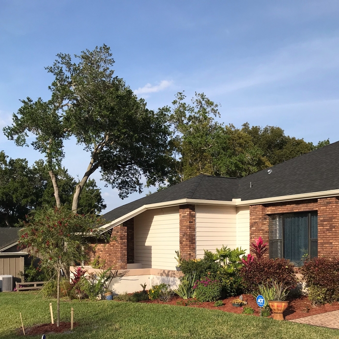 After with a Lighter Color for Gutter and Fascia Wrap