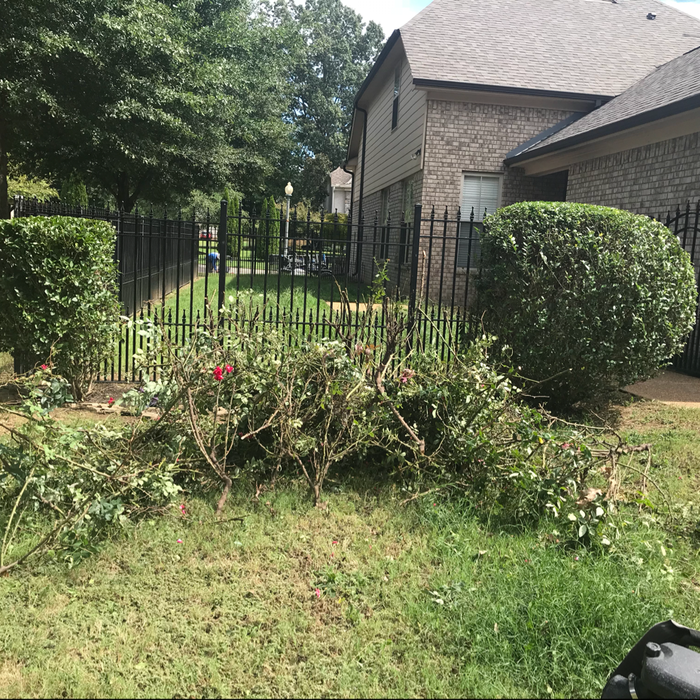 Additional Photos