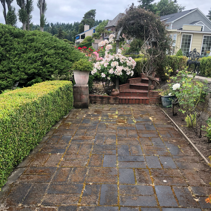 Additional Photos
