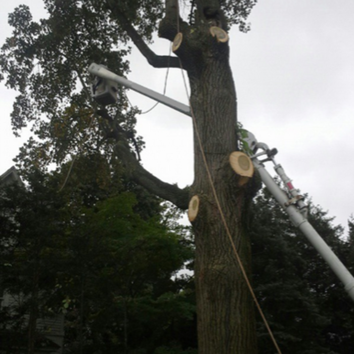 Additional Photos