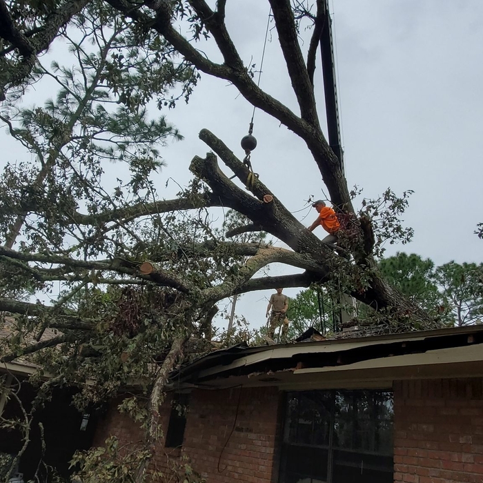 Additional Photos
