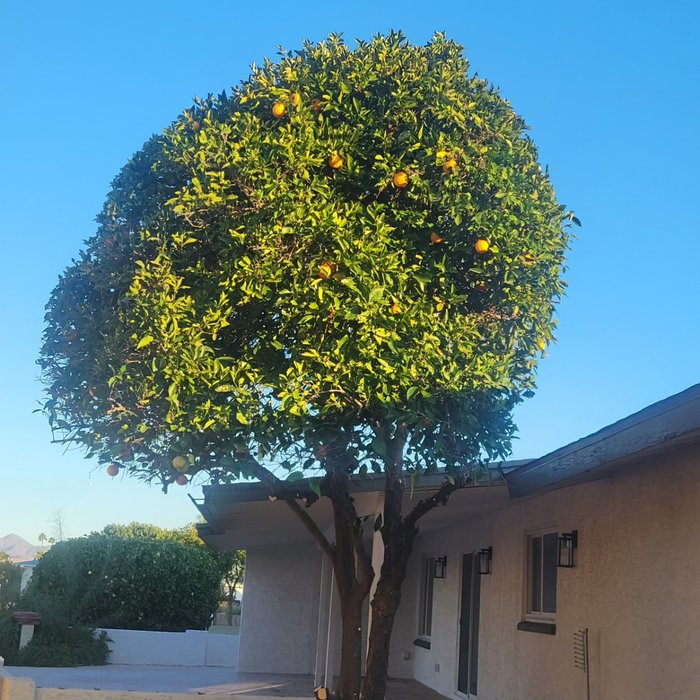 Additional Photos