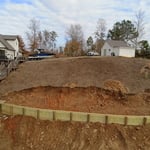 Collins Project Dead Timber