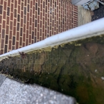 Gutter Cleaning Project
