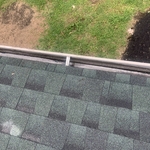 Gutter Cleaning Project