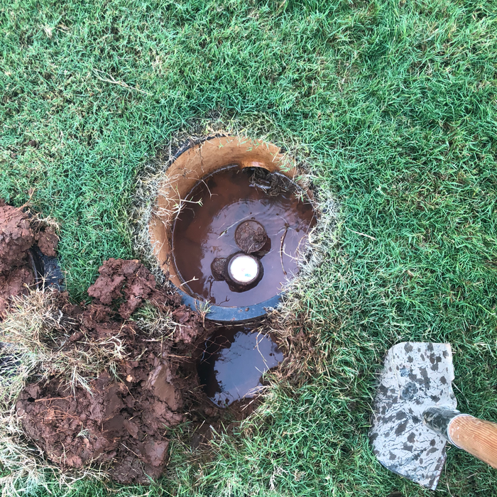 Additional Photos