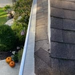 First LeafBlaster pro project