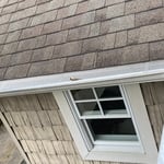 First LeafBlaster pro project