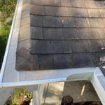 First LeafBlaster pro project