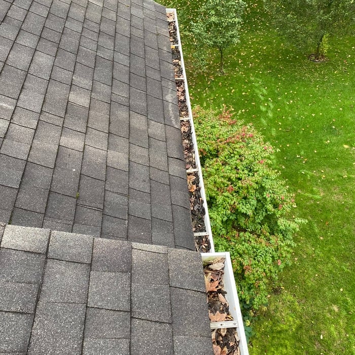 First LeafBlaster pro project