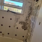 Bathroom tear out remodel