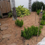 Additional Photos