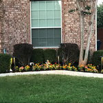 Additional Photos