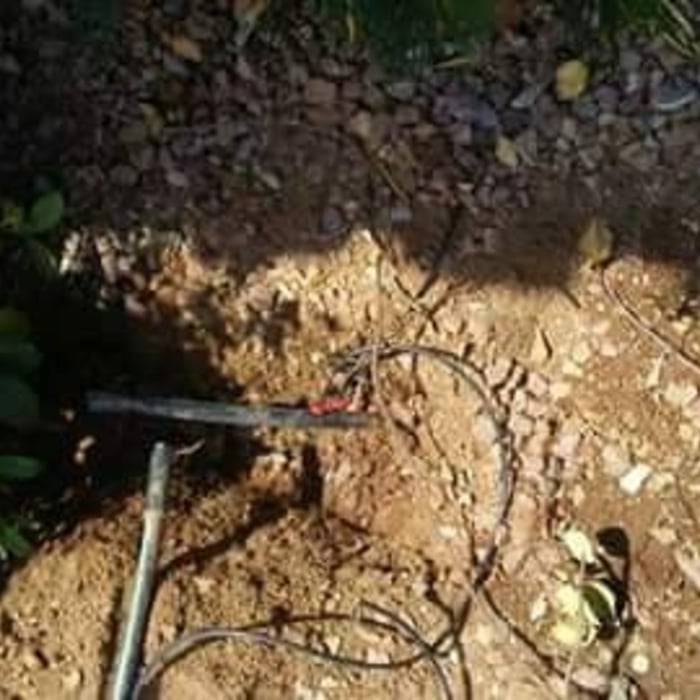 Additional Photos