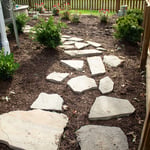 Back yard make over