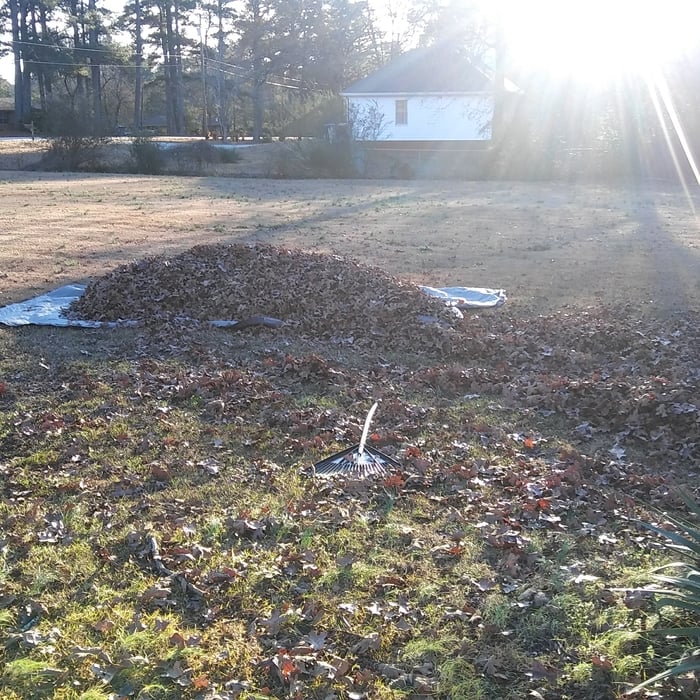 Additional Photos