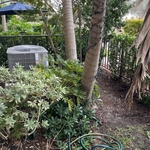 Back yards make over