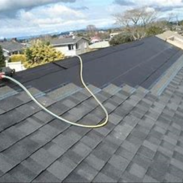 Additional Photos
