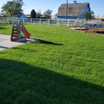 Sod and Irrigation