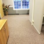 Carpet Cleaning Project