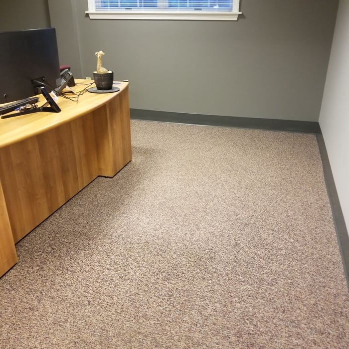 Carpet Cleaning Project