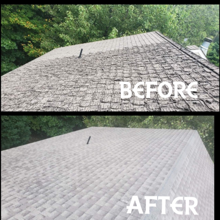 Additional Photos