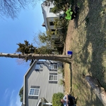 Tree Service Project