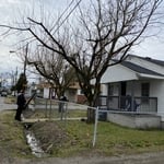 Tree Service Project