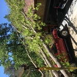 Storm damages