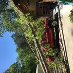 Storm damages