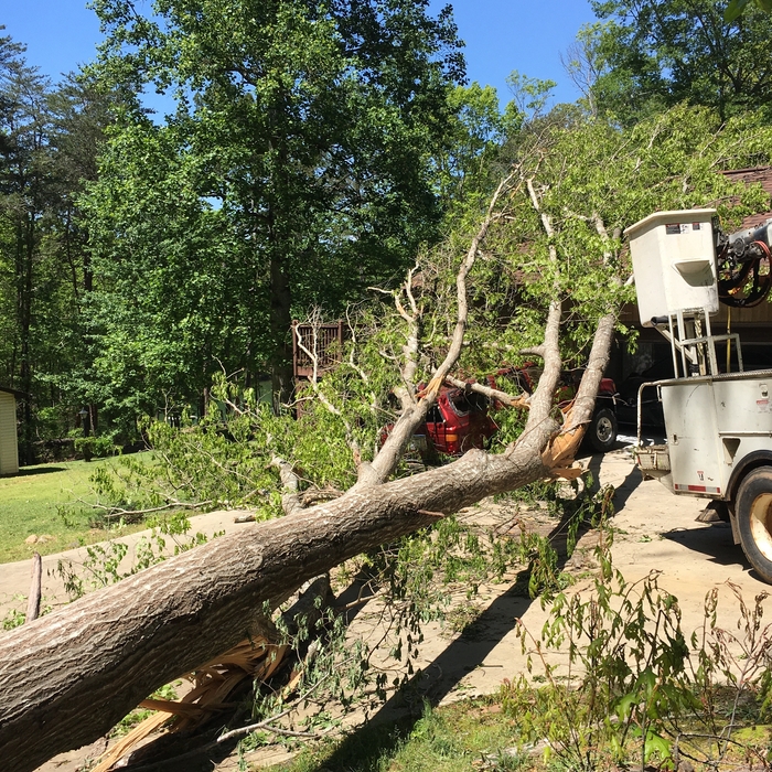 Storm damages