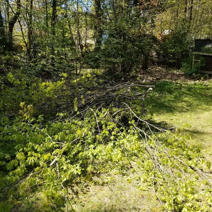 Additional Photos