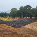 Landscaping - Lakefront Project